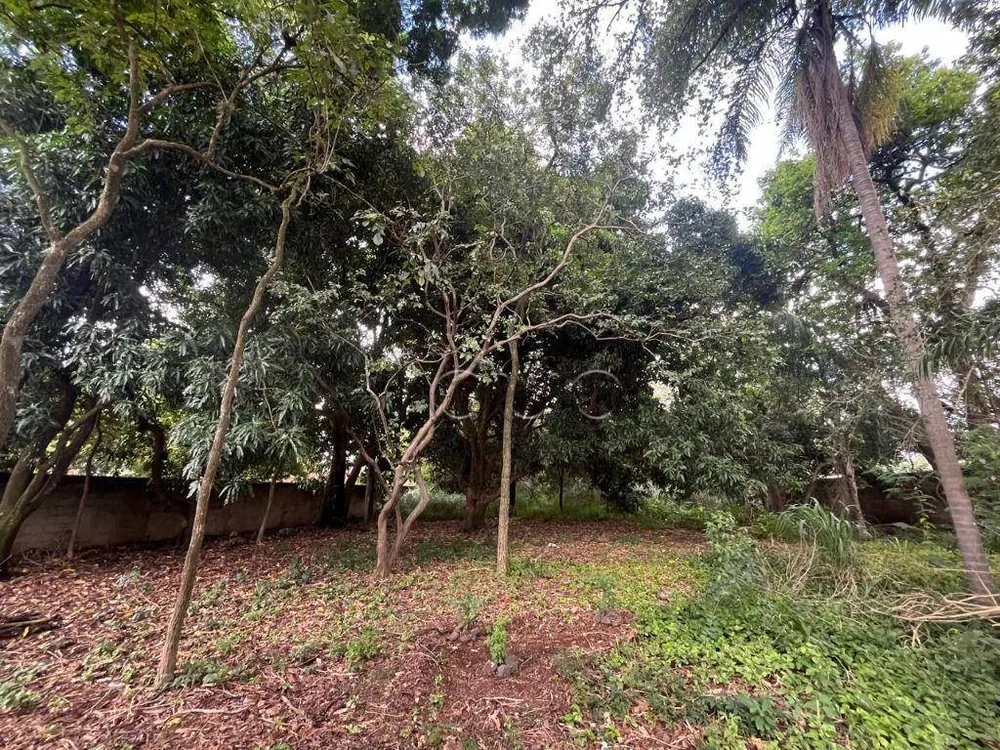 Terreno, 2000 m² - Foto 8