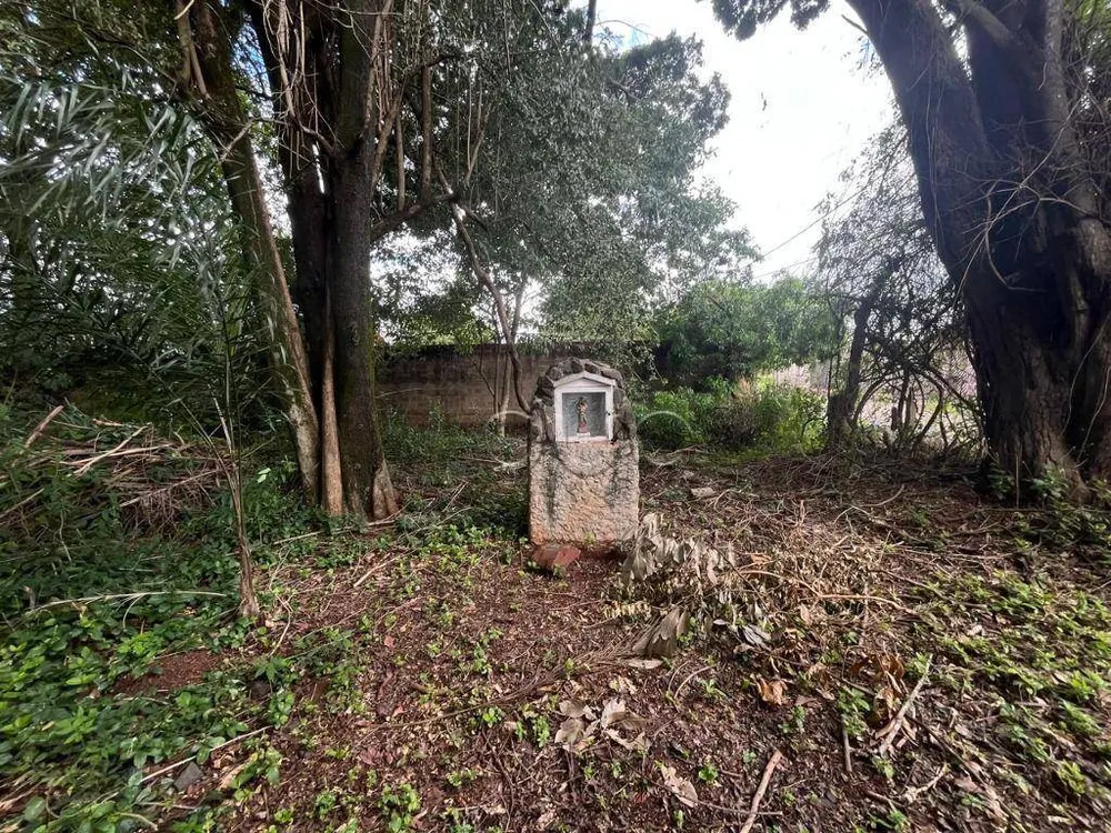 Terreno, 2000 m² - Foto 5