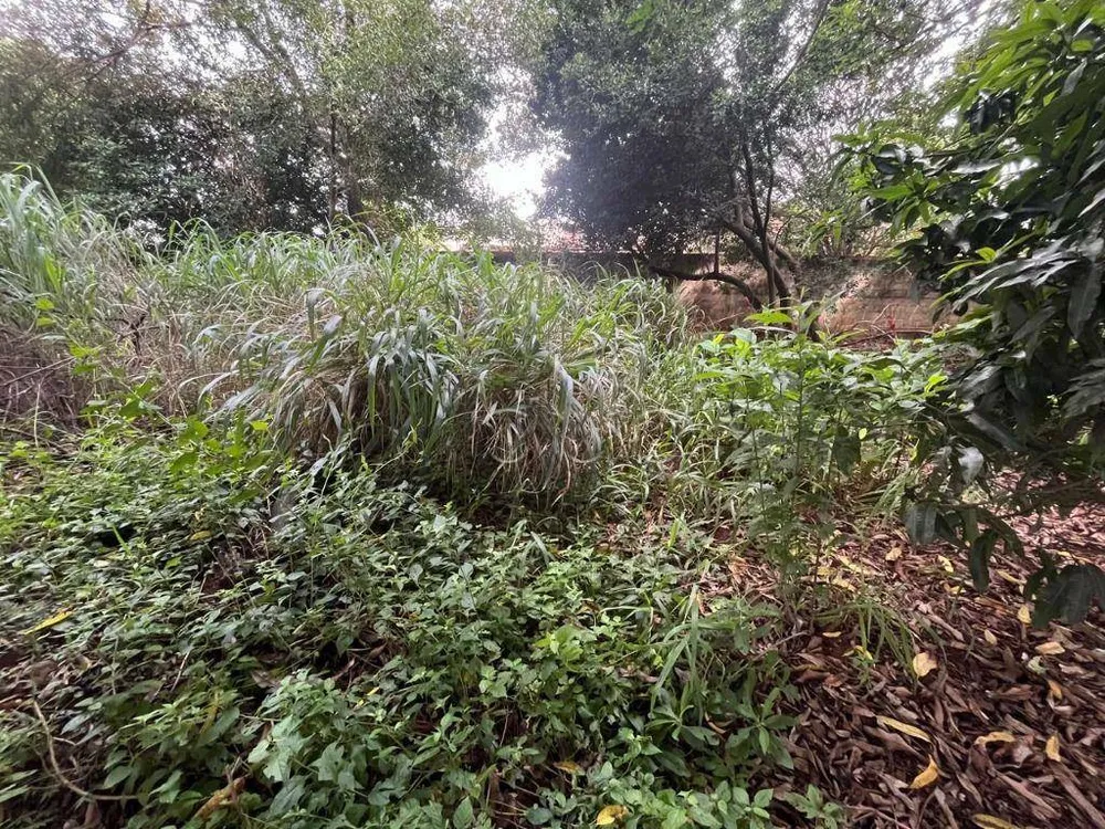 Terreno, 2000 m² - Foto 3