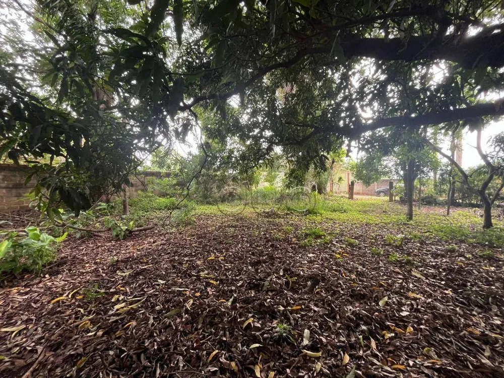 Terreno, 2000 m² - Foto 2