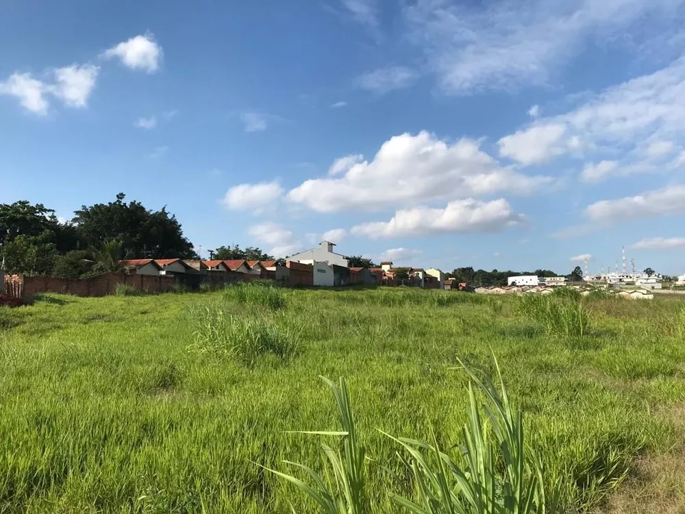 Terreno, 5 hectares - Foto 4