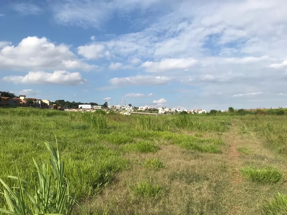 Terreno, 5 hectares - Foto 3
