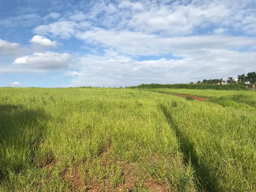Terreno, 5 hectares - Foto 8