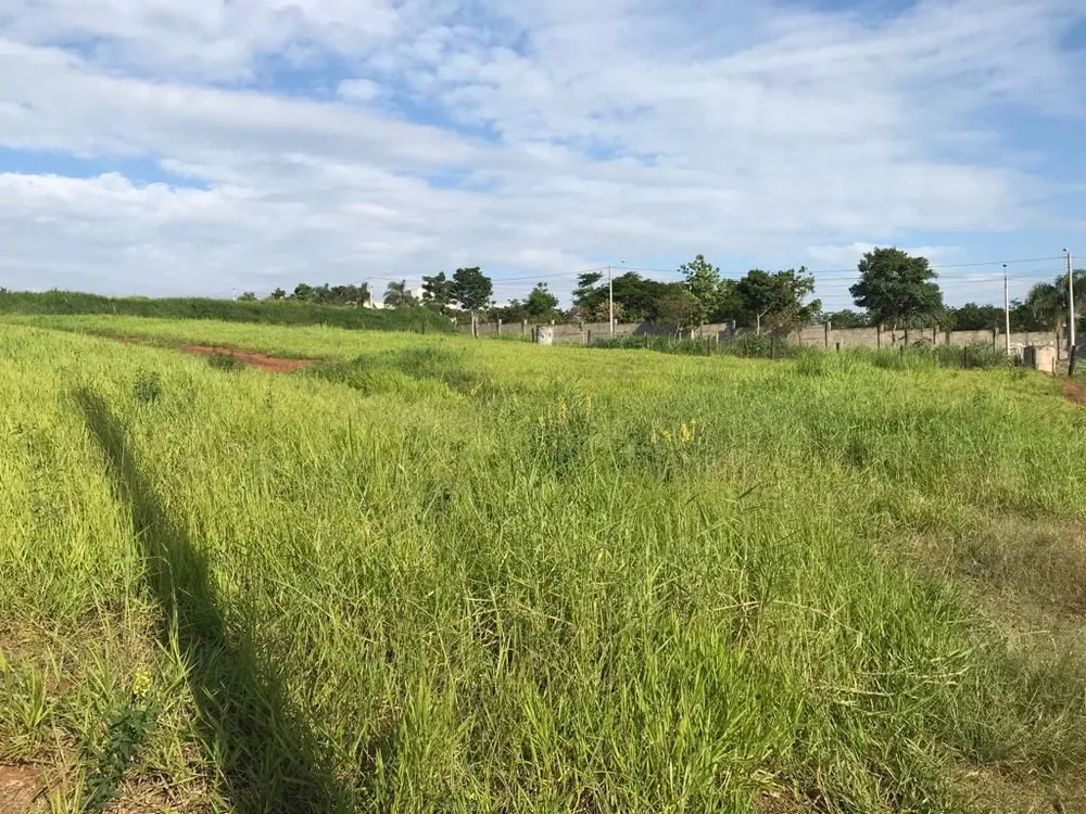 Terreno, 5 hectares - Foto 7