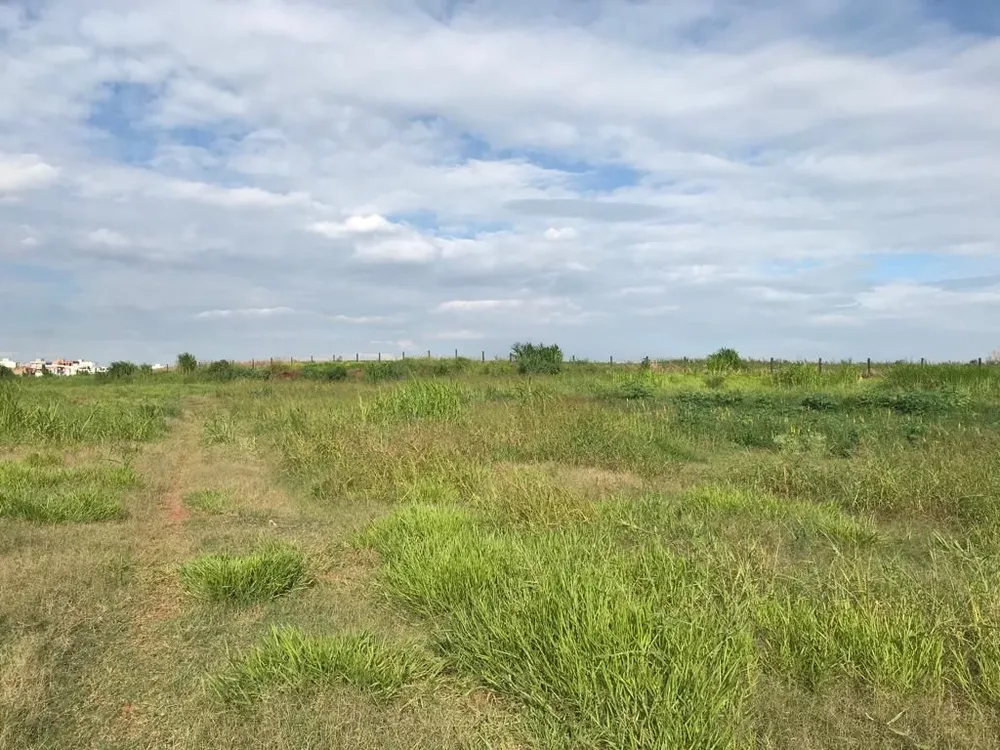 Terreno, 5 hectares - Foto 1