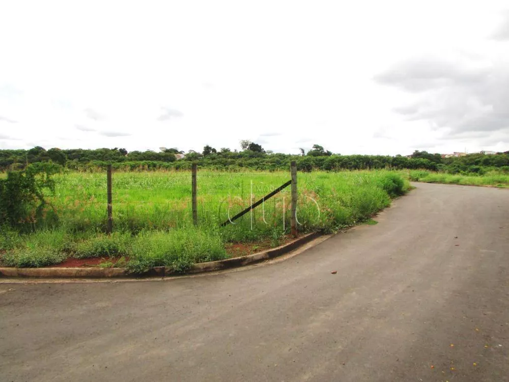 Terreno à venda, 16000M2 - Foto 3