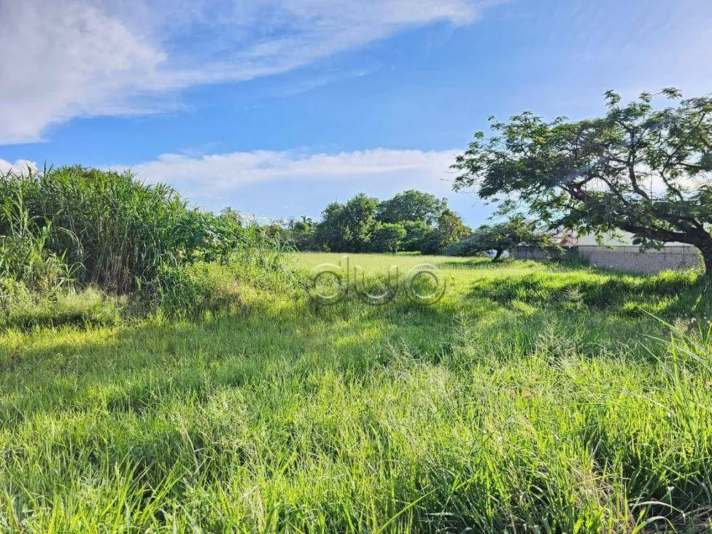 Terreno, 1 hectares - Foto 3