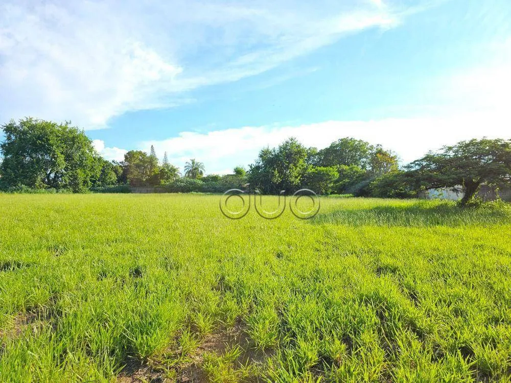 Terreno, 1 hectares - Foto 4