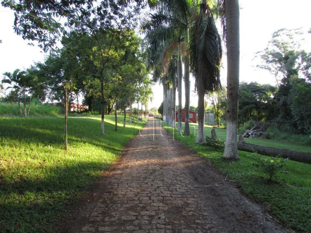Chácara, 4 quartos, 4 hectares - Foto 3