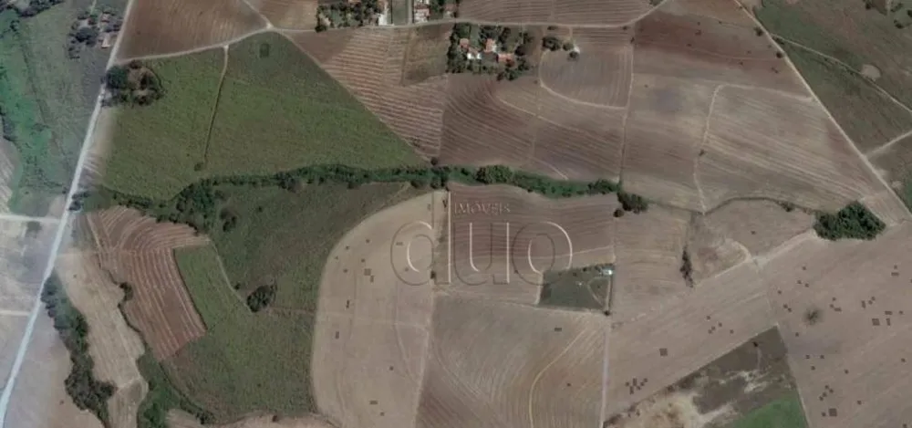 Terreno, 20 hectares - Foto 3