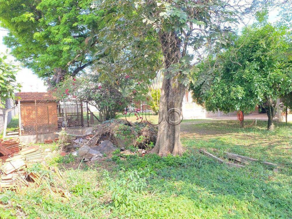 Terreno, 1 hectares - Foto 10