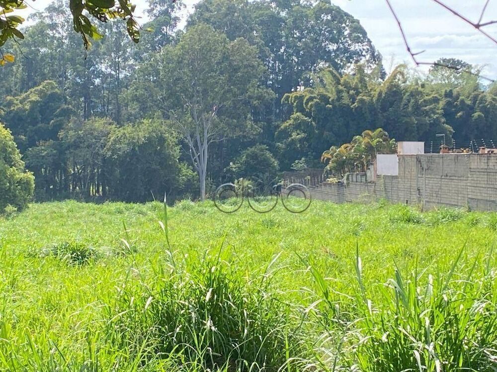 Terreno, 1 hectares - Foto 12