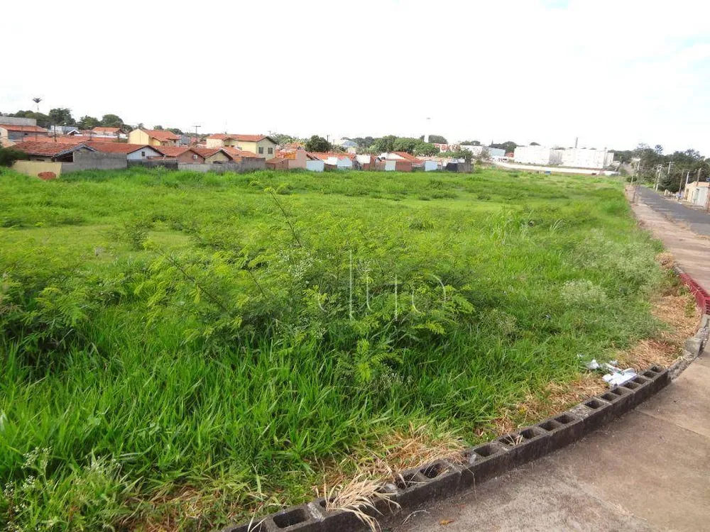 Terreno, 2 hectares - Foto 11
