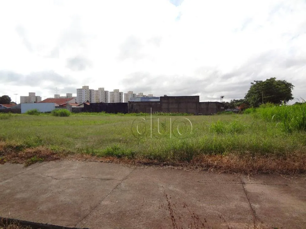 Terreno, 2 hectares - Foto 7