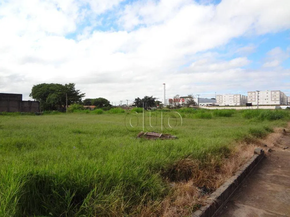 Terreno, 2 hectares - Foto 8