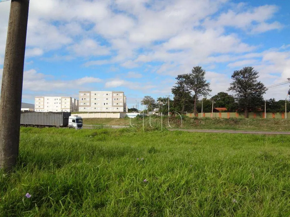 Terreno, 2 hectares - Foto 6