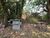 Sítio, 3 quartos, 2 hectares - Foto 3