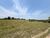 Sítio, 3 quartos, 2 hectares - Foto 4