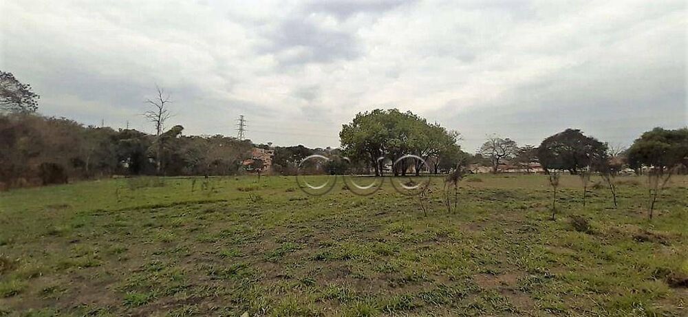 Terreno, 2 hectares - Foto 6