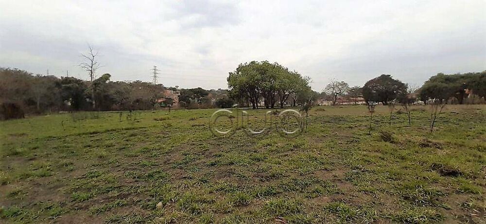 Terreno, 2 hectares - Foto 7