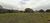Terreno, 2 hectares - Foto 3