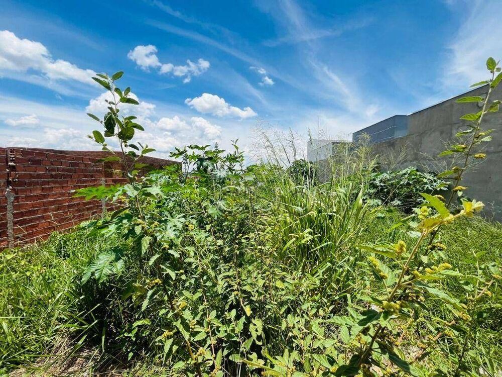 Terreno, 250 m² - Foto 4