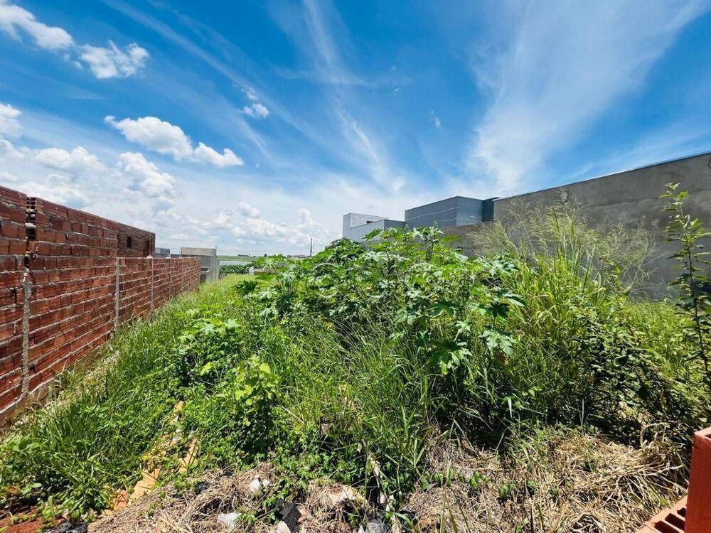 Terreno, 250 m² - Foto 6