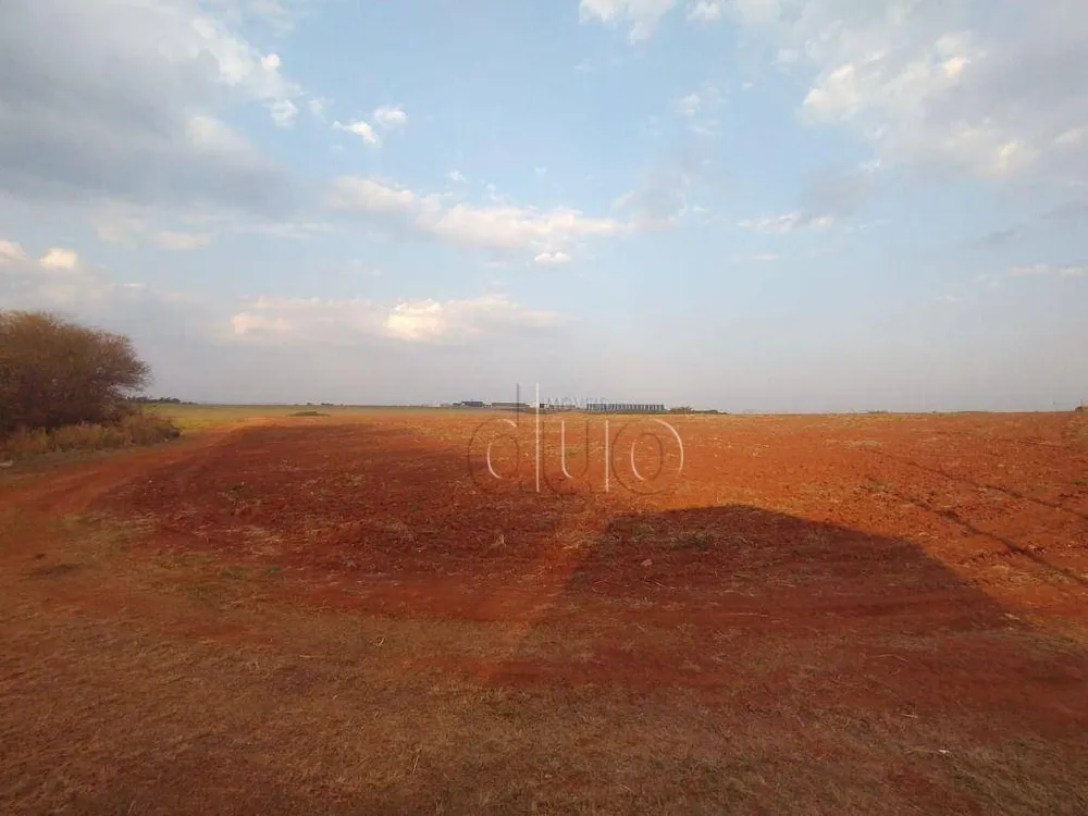 Terreno, 11 hectares - Foto 6