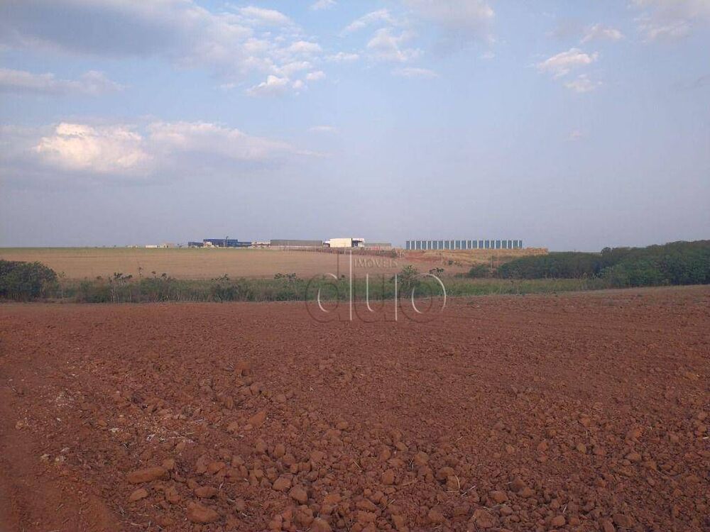 Terreno, 11 hectares - Foto 9