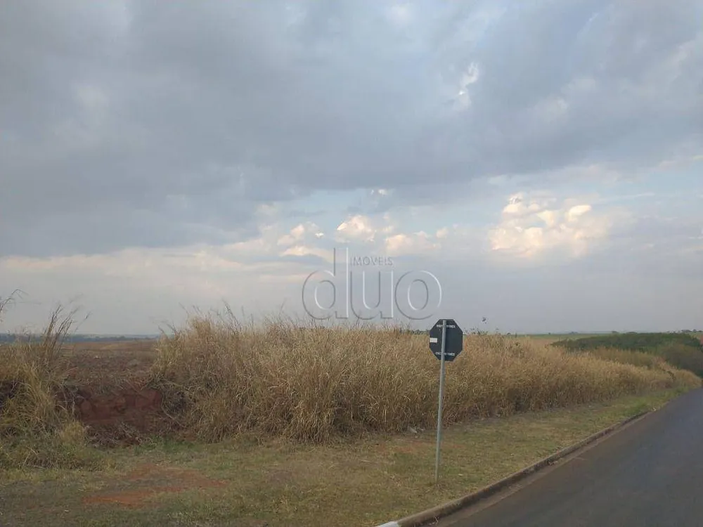 Terreno, 11 hectares - Foto 10
