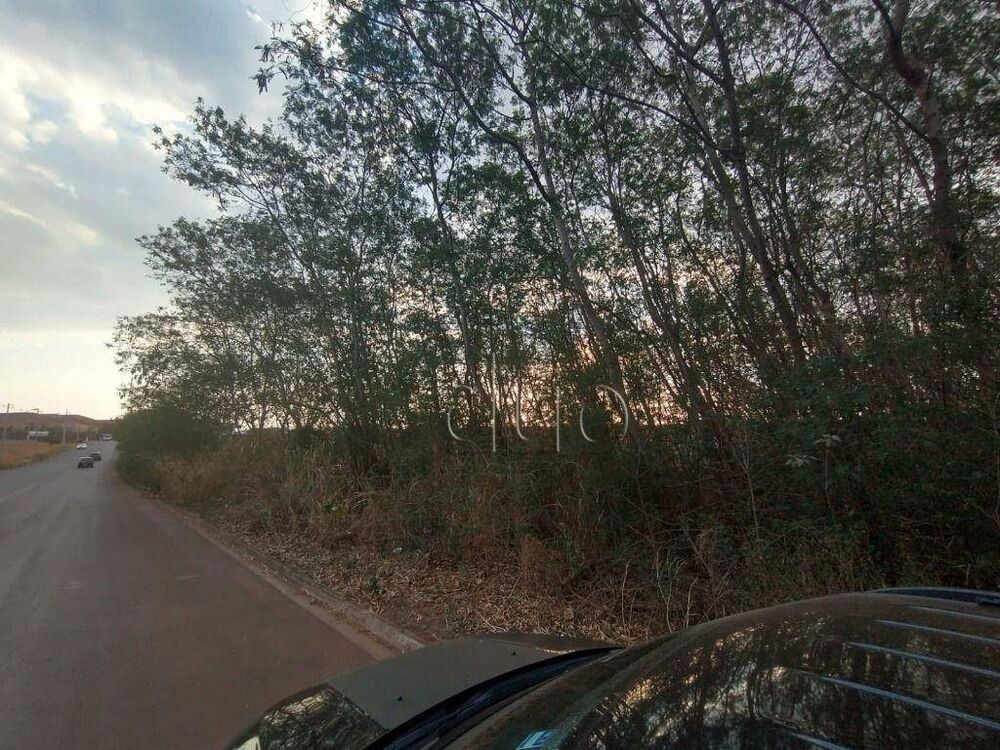 Terreno, 11 hectares - Foto 11
