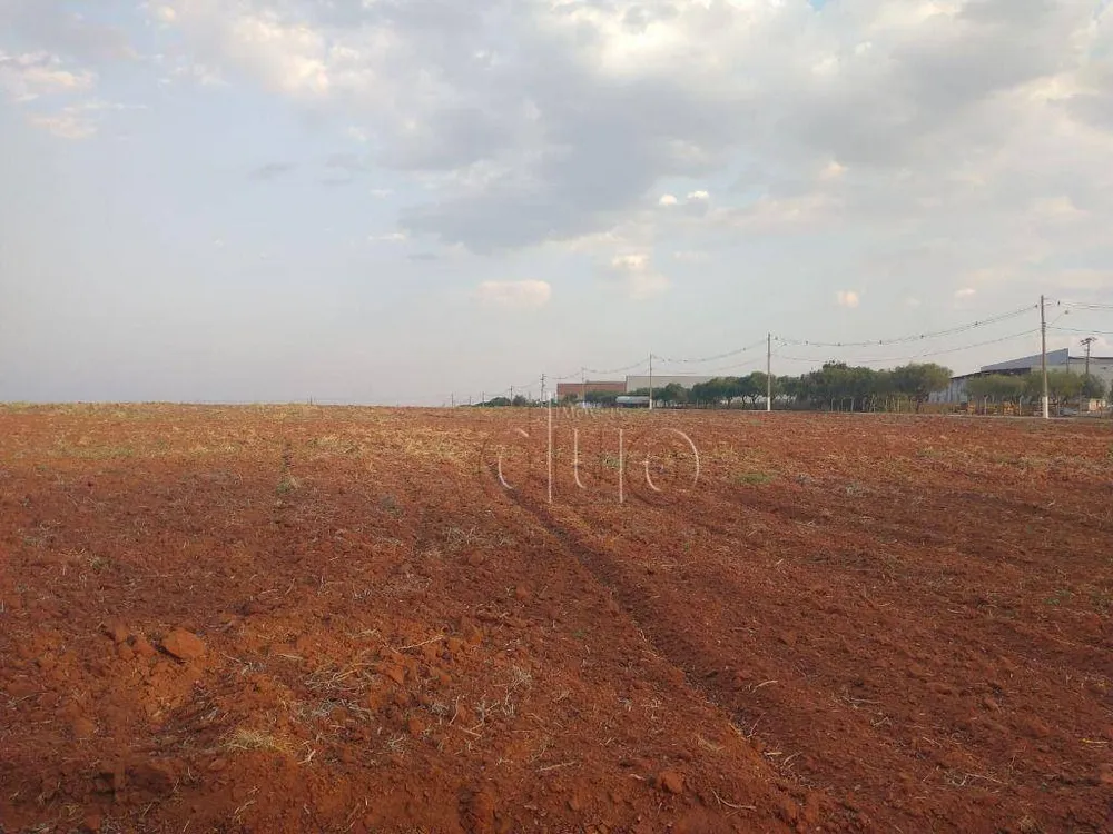 Terreno, 11 hectares - Foto 7