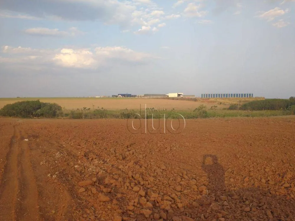 Terreno, 11 hectares - Foto 8