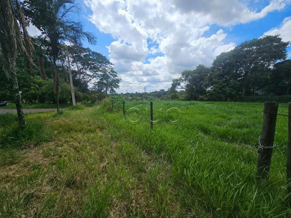 Terreno, 3245 m² - Foto 6