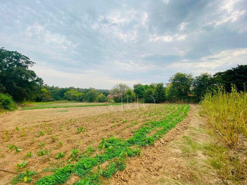 Terreno, 1 hectares - Foto 8