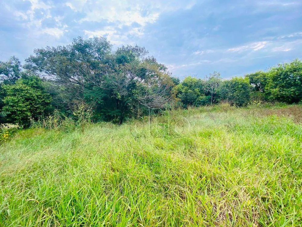 Terreno, 1 hectares - Foto 4
