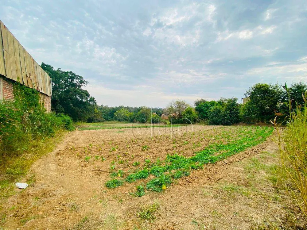 Terreno, 1 hectares - Foto 7