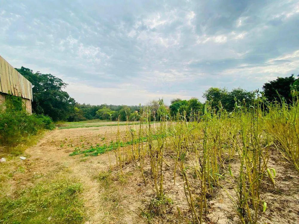 Terreno, 1 hectares - Foto 6