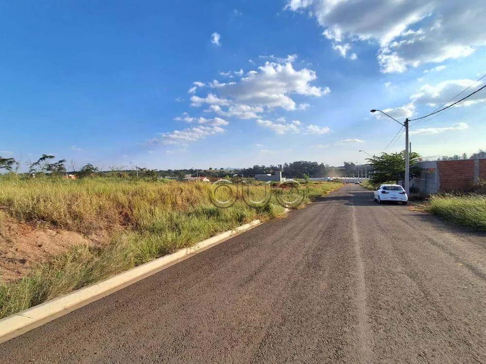 Terreno, 250 m² - Foto 5