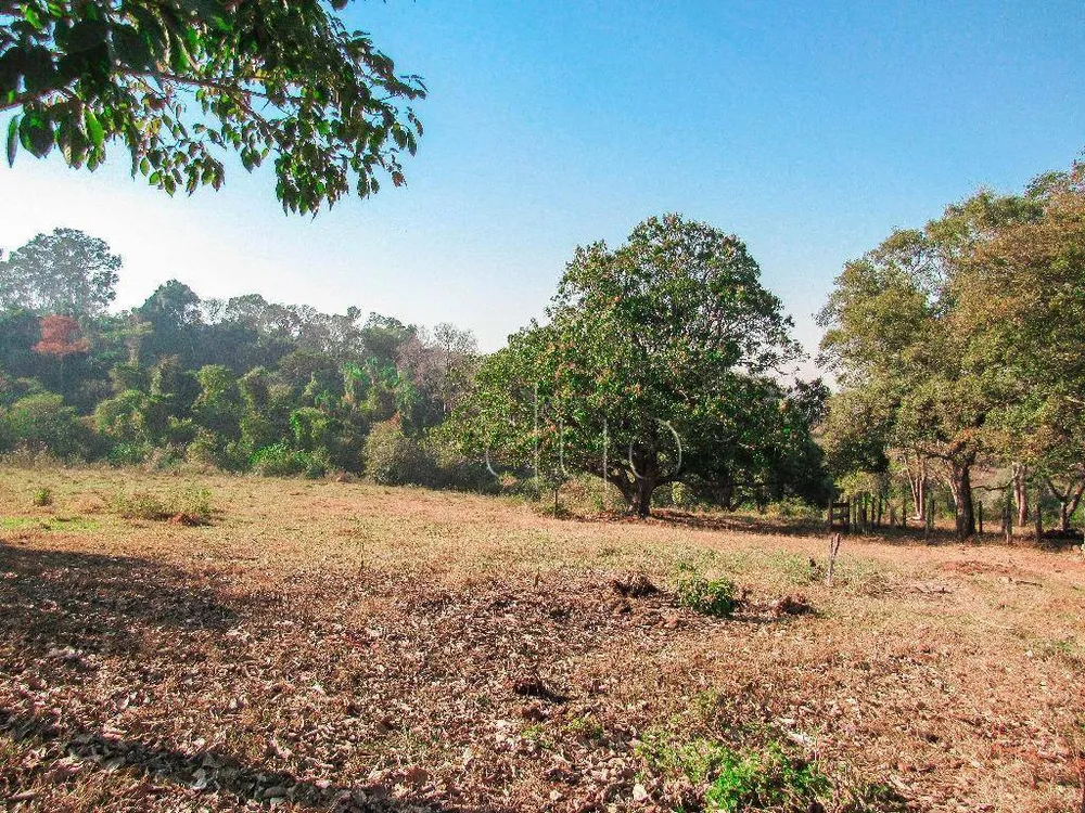 Terreno, 9 hectares - Foto 19