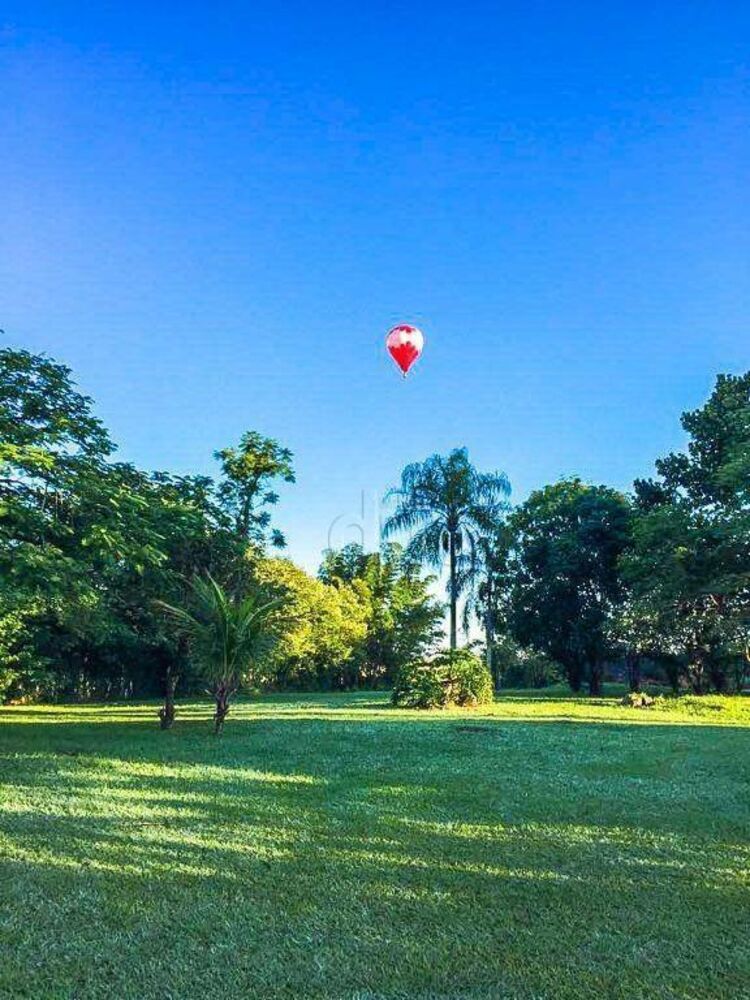Terreno, 9 hectares - Foto 3