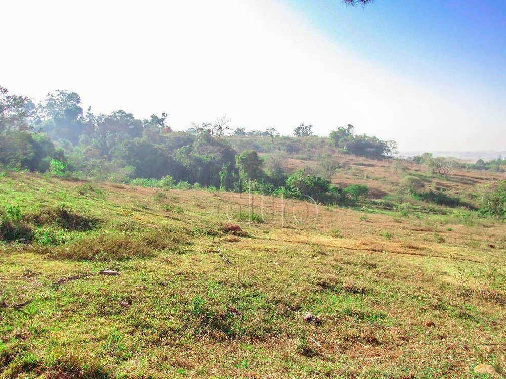 Terreno, 9 hectares - Foto 9