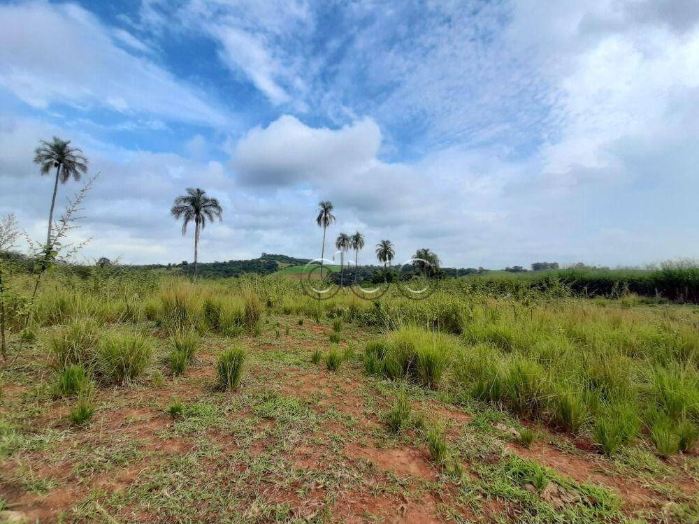 Terreno, 13 hectares - Foto 3