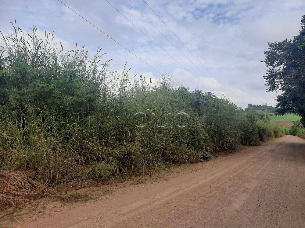 Terreno, 13 hectares - Foto 2