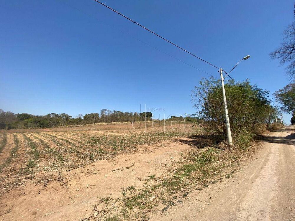 Terreno, 40 hectares - Foto 3