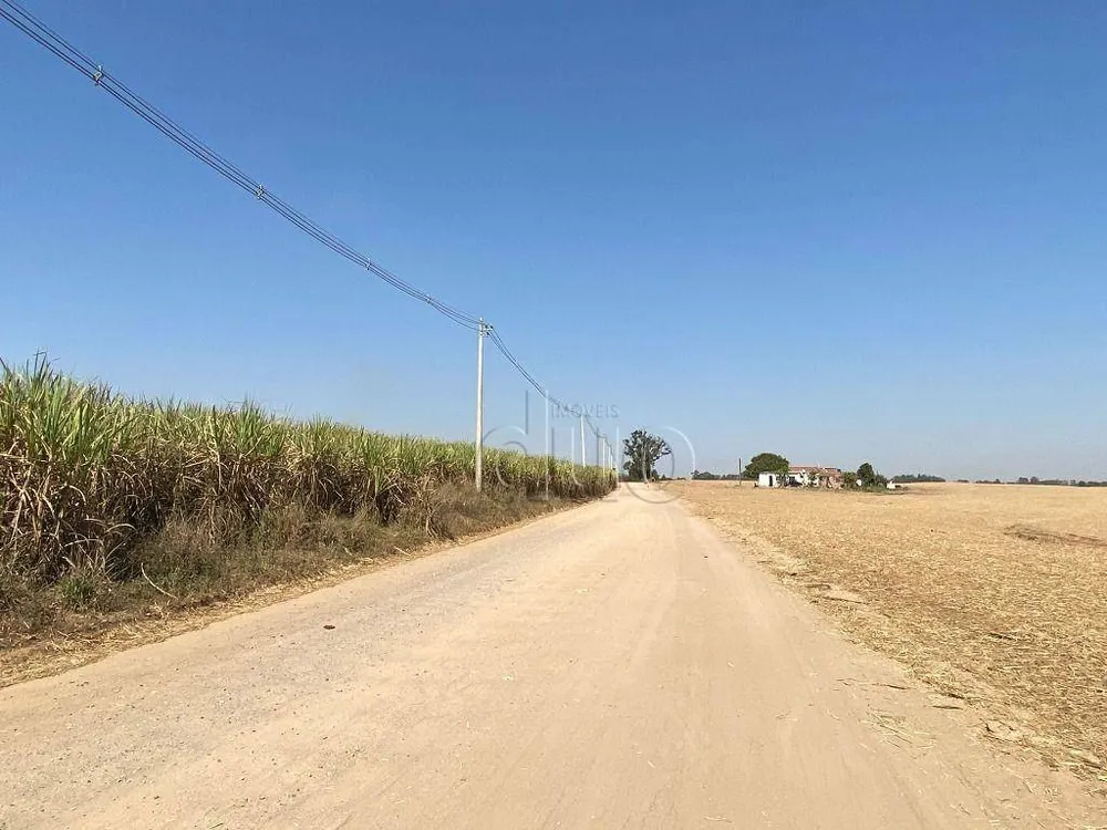 Terreno, 40 hectares - Foto 9