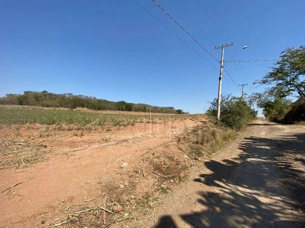Terreno, 40 hectares - Foto 8