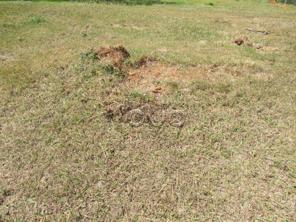 Loteamento e Condomínio, 720 m² - Foto 1