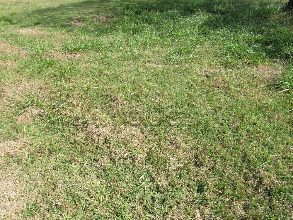 Loteamento e Condomínio, 720 m² - Foto 3
