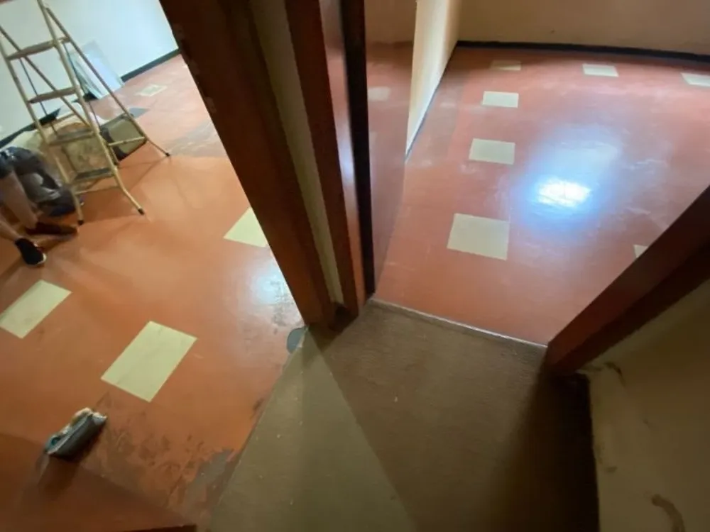 Casa, 4 quartos, 250 m² - Foto 6